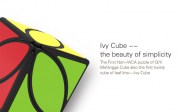 ivy_cube_(11)