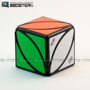 ivy_cube_1b