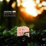valk3_mini_rose_(6)